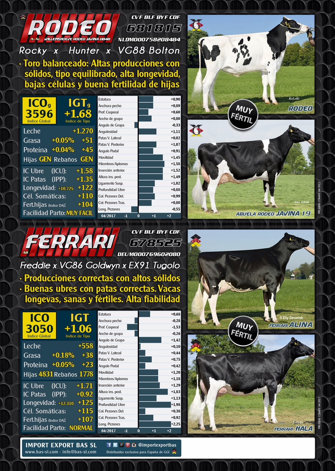 BAS&middot;GGI - Toros MUY FERTILES para Verano !!